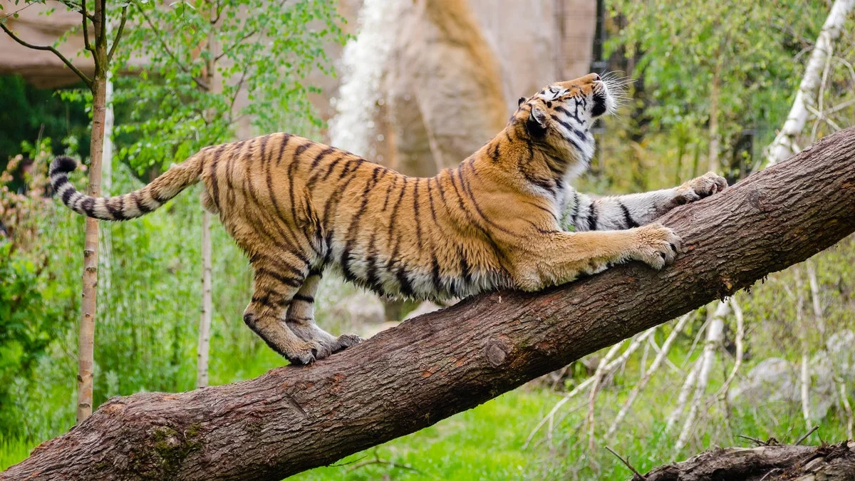 Bijrani Tourism Zone