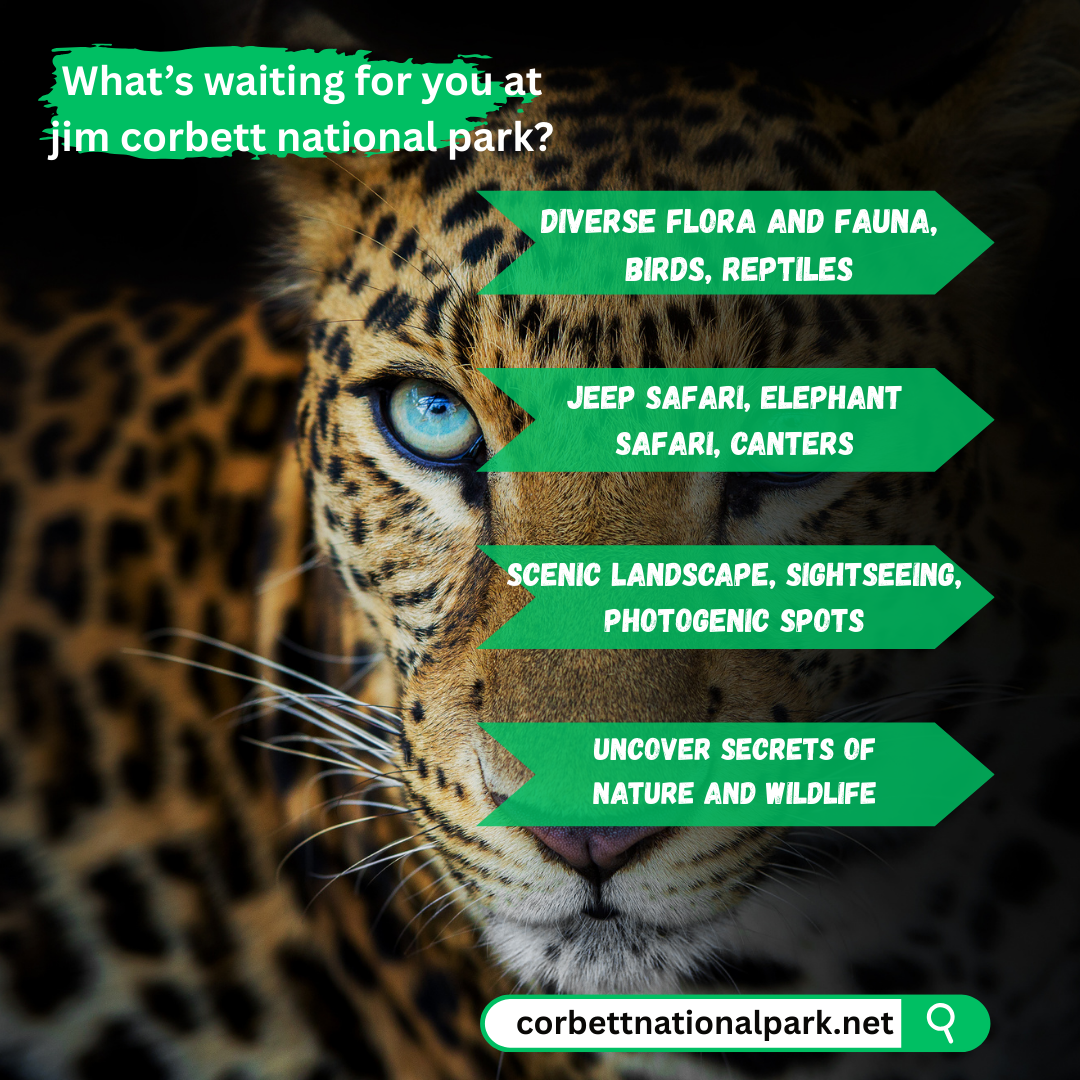 Rafting boat on Kosi River with forest in the background